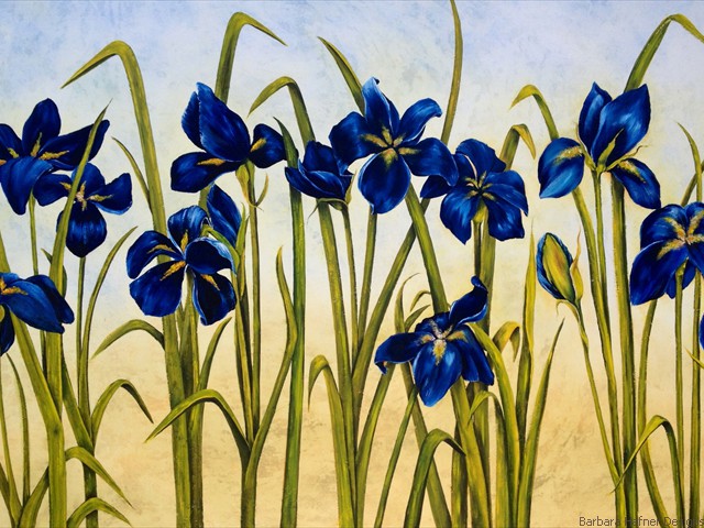 Blue Irises<br/>24" x 36"<br/>Barbara Hafner
