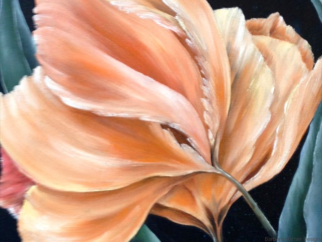 Peach Tulip<br/>11" x 14"<br/>Maxine Gillilan