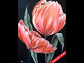 Pink Tulip
11" x 14"
Maxine Gillilan