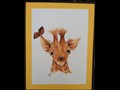 Baby Giraffe and Butterfly
14" x 16"
Maxine Gillilan