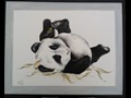 Baby Panda
14" x 16"
Maxine Gillilan
