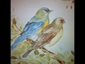 Bluebirds
20" x 24"
Maxine Gillilan